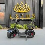E-Scooter Citycoco 1000W
