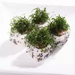 Skin Especial Uramaki ( 5 peças )