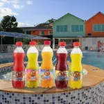 Jugo Hit botella