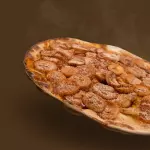 Pizza de banana