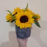 Belleza