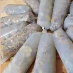 Almejitas