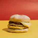 Combo Hamburguesa Vegetariana
