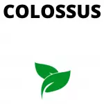 Colossus