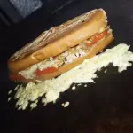 Caramelo (dog salada)