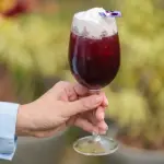 HABEMUS HIBISCUS