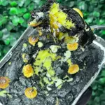 Cookie na Marmita - Black Maracujá