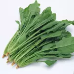 一包菠菜 Espinaca china
