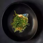 Temaki Salmão c/crispy couve manteig