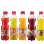 🧃 Jugo Hit 500mL