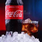 BEBIDAS