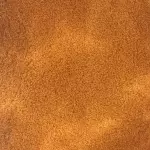 Artemia descapsulada (Nutrición Prem
