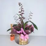 A462 Orquídea chocolate "Aromática"