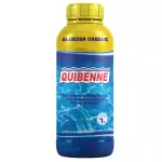 Algicida Choque | 1LT | QUIBENNE