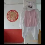 MAMELUCOS