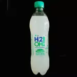 H2O