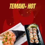 Temaki + hot filadélfia