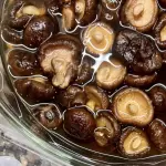 HONGOS DESIDRATADA 冬菇