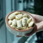 Ñoquis