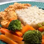 STROGONOFF FIT DE FRANGO