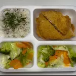 ChickeN katsu