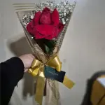 Solitário simples