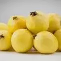 guayaba
