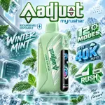 Adjust- Winter Mint 🧊🧊