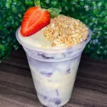 AÇAI TRUFADO 500 ML NINHO