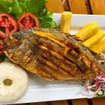 Chita Frita