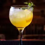 Gin Tropical