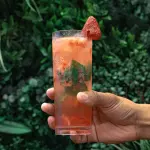 Mojito Fresa