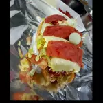 perro de la casa