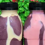 Açaí de Garrafa 500ml