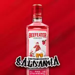 GARRAFA BEEFEATER PINK