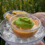 CEVICHE AMOR & FISH
