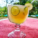 Limonada y naranjada