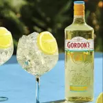 GORDON'S