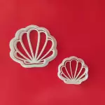 Conchas Marinas (Cs-S)