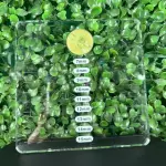 Tabla acrílica + piedra jade mini