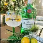 DOSE GIN TANQUERAY C/ RED BULL 700ML