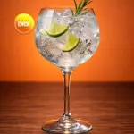 GIN TÔNICA