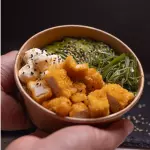 Gohan Pollo