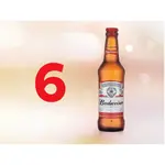 6 Cervejas Long neck